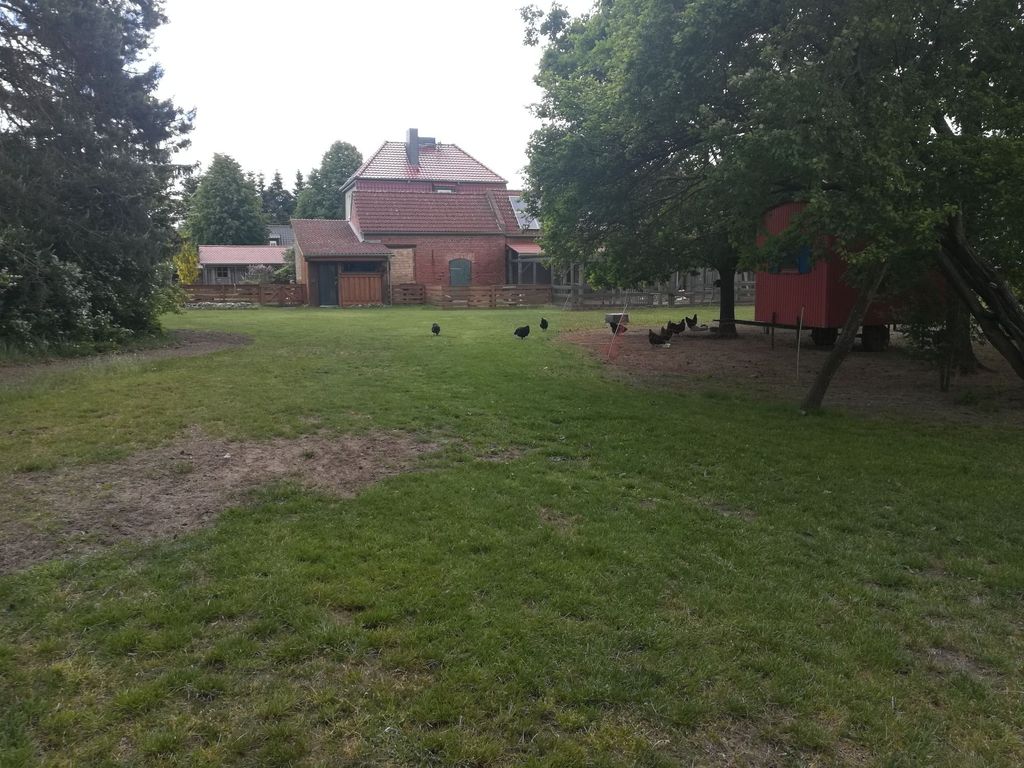 Campeggiare sotto gli alberi vicino agli animali