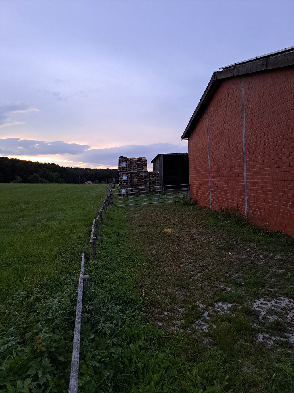 Plätzchen im Grünen