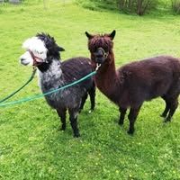 Kleiner Berghof im bayerischen Wald
