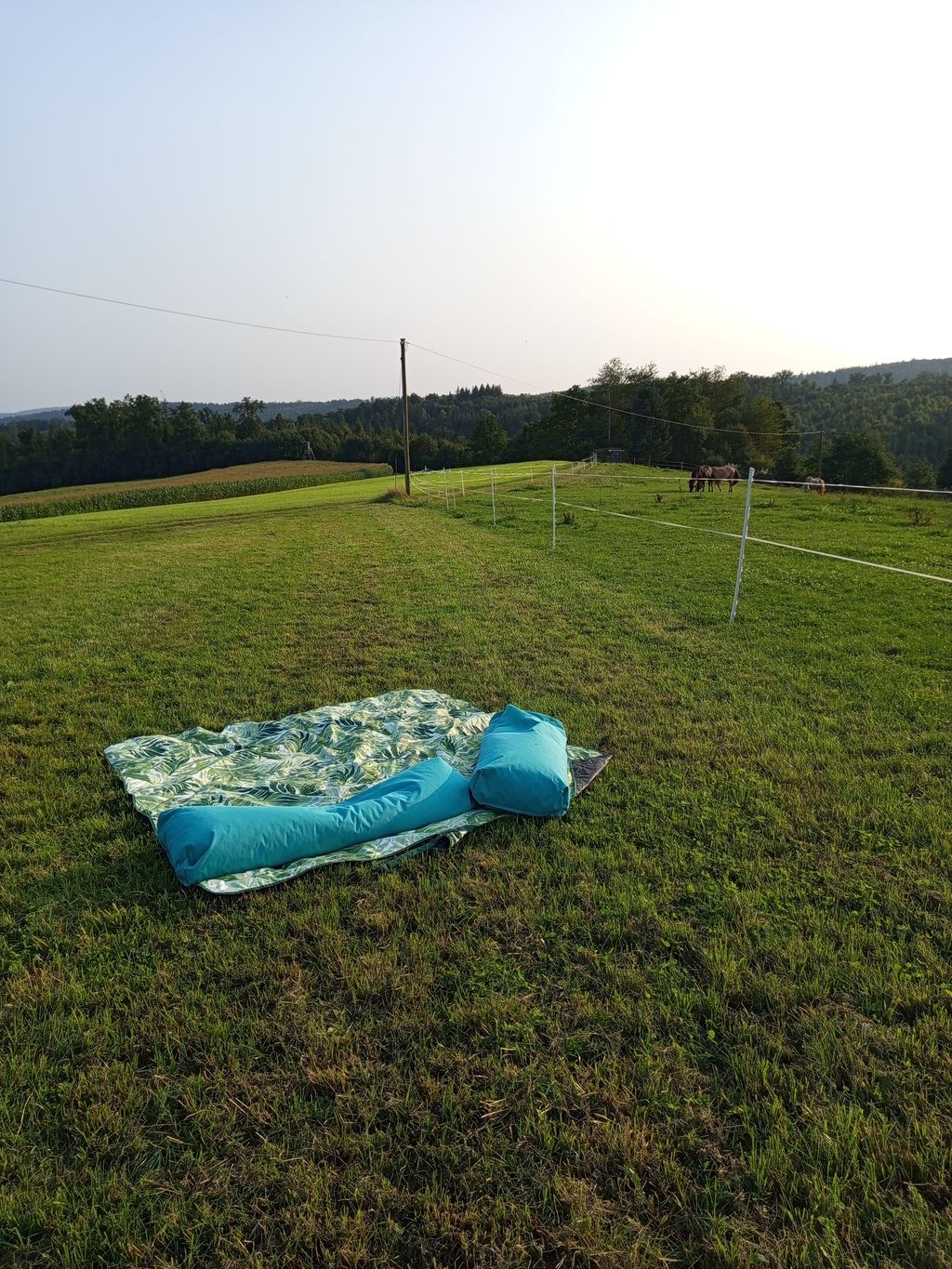 Camping in a completely secluded location on a farm