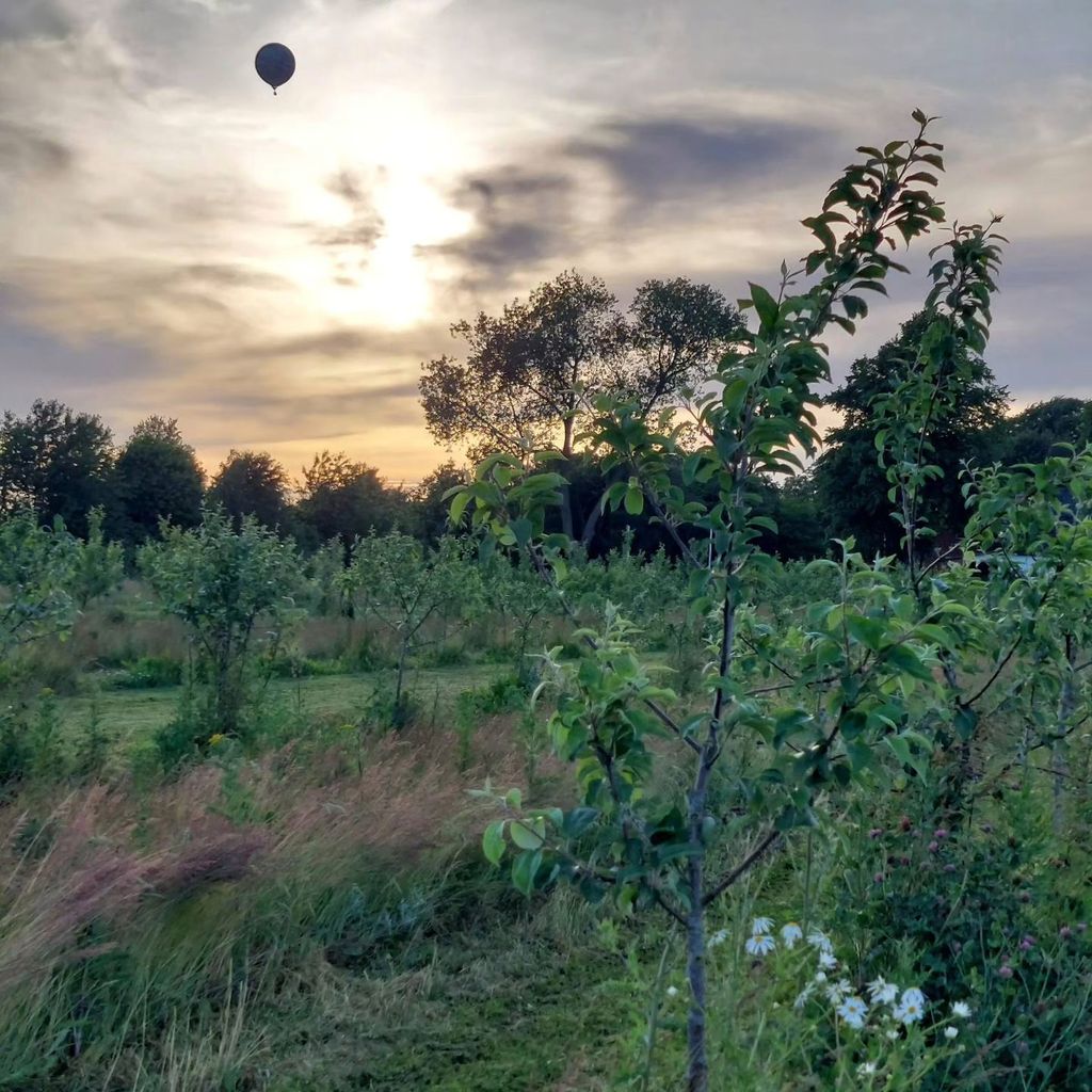 Camping im Apfelgarten: In der Nähe von Meer, Feldern und Wäldern