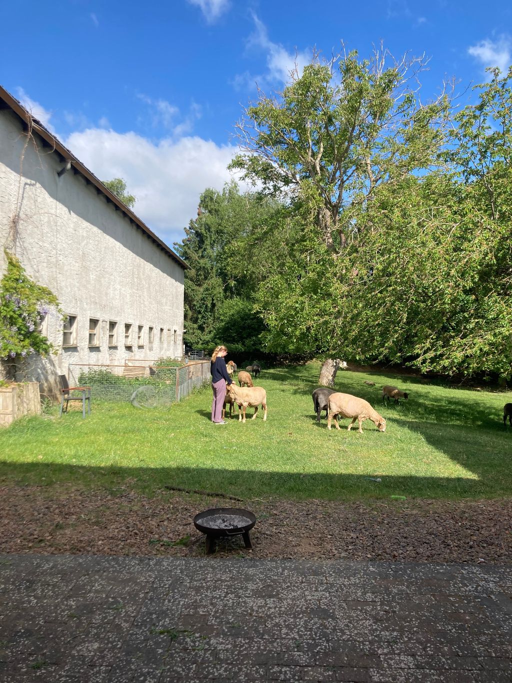 Tranquilidad idílica en el Tannenhof