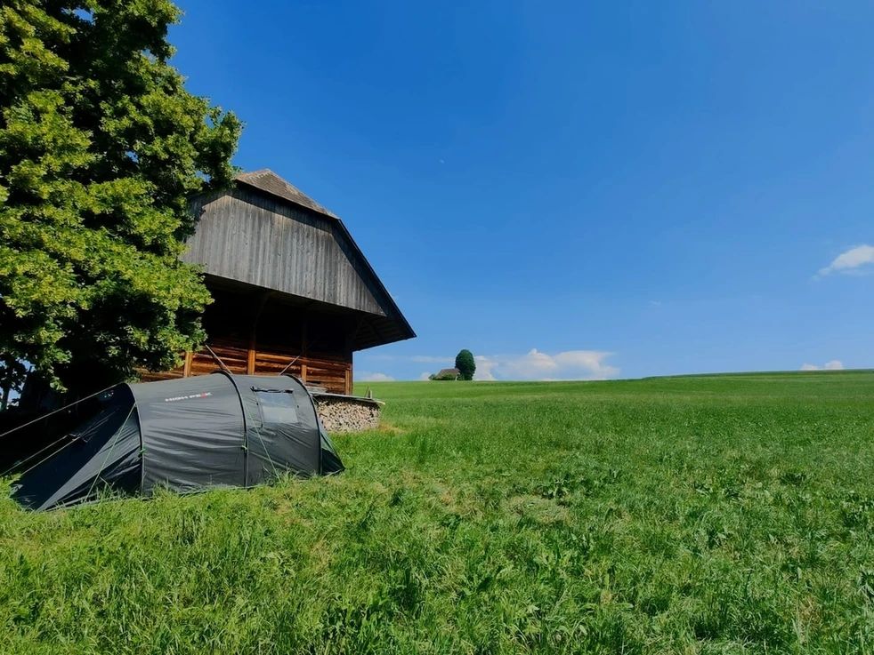 Exclusive experience around the barn