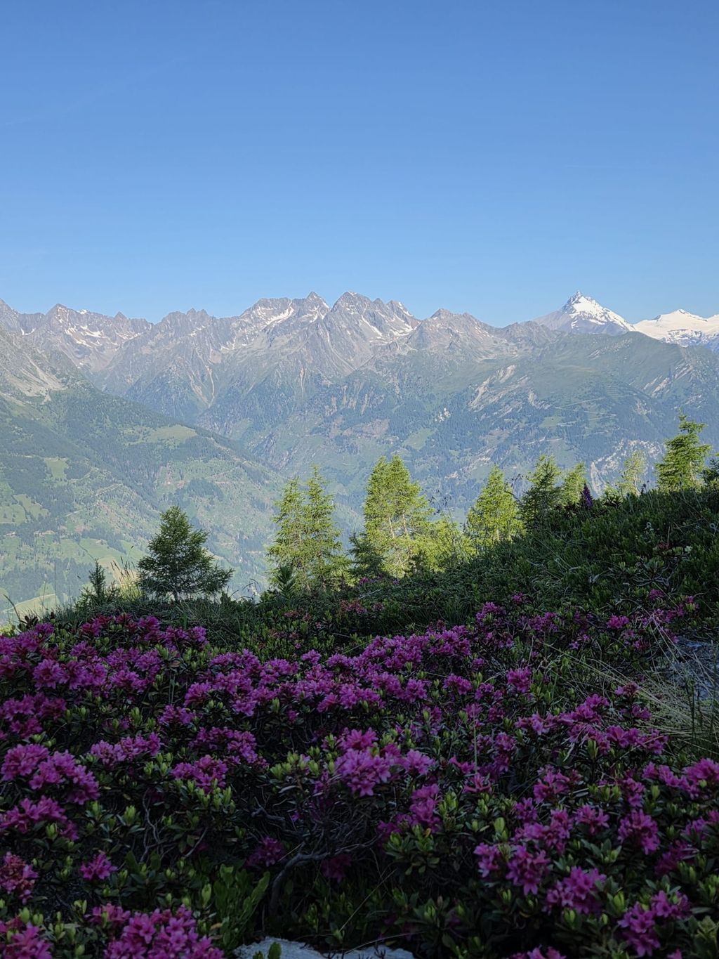 Camping on the Hochalm – Pure nature at over 2,000 meters