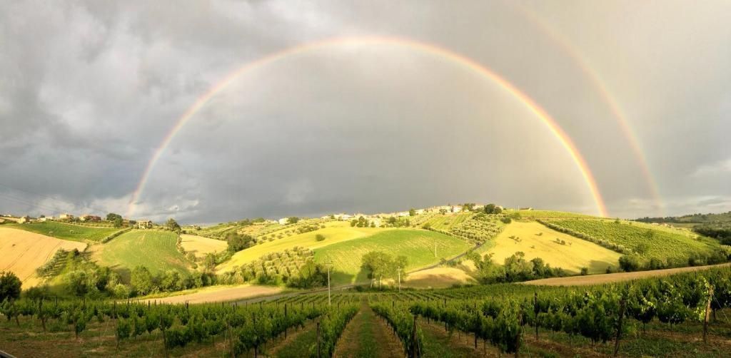 Eine Nacht in der Tonne