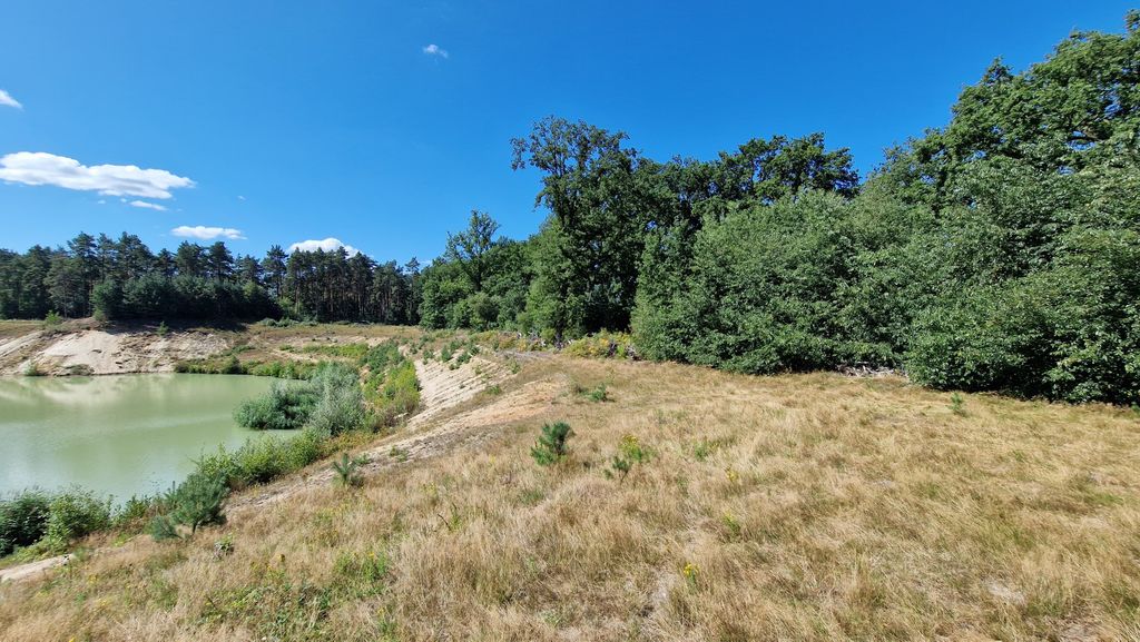 Campeggio vicino al laghetto di una cava verde in mezzo alla natura