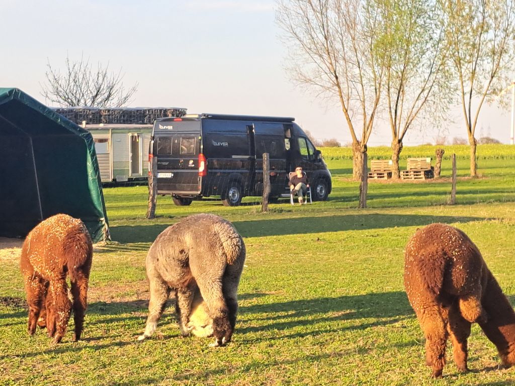 Camp mit Hofladen: Chillen im Grünen