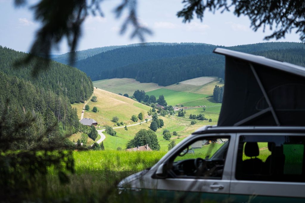 Ai margini della foresta nella Foresta Nera con vista