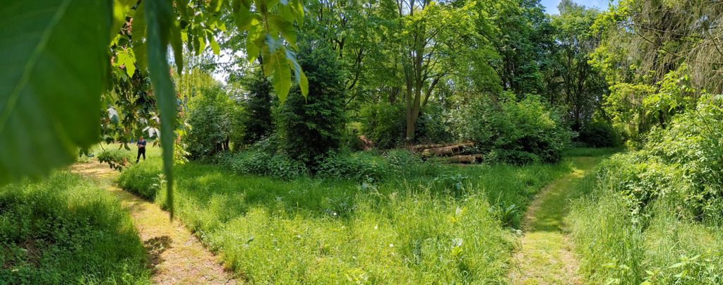 Camping auf der "Grünen Insel"