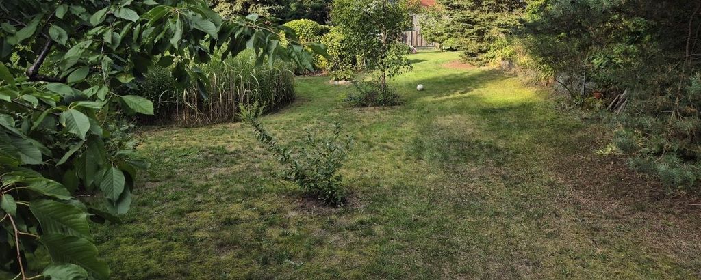 Piazzola idilliaca nel giardino a Potsdam 