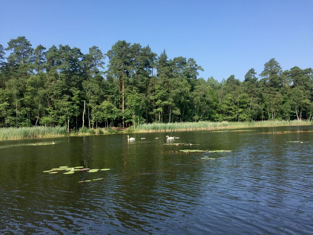 Cabane au bord du lac dans la forêt : à 90 minutes de Berlin