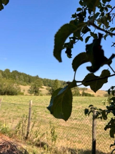 Piazzola ai margini del paese, immersa nel verde