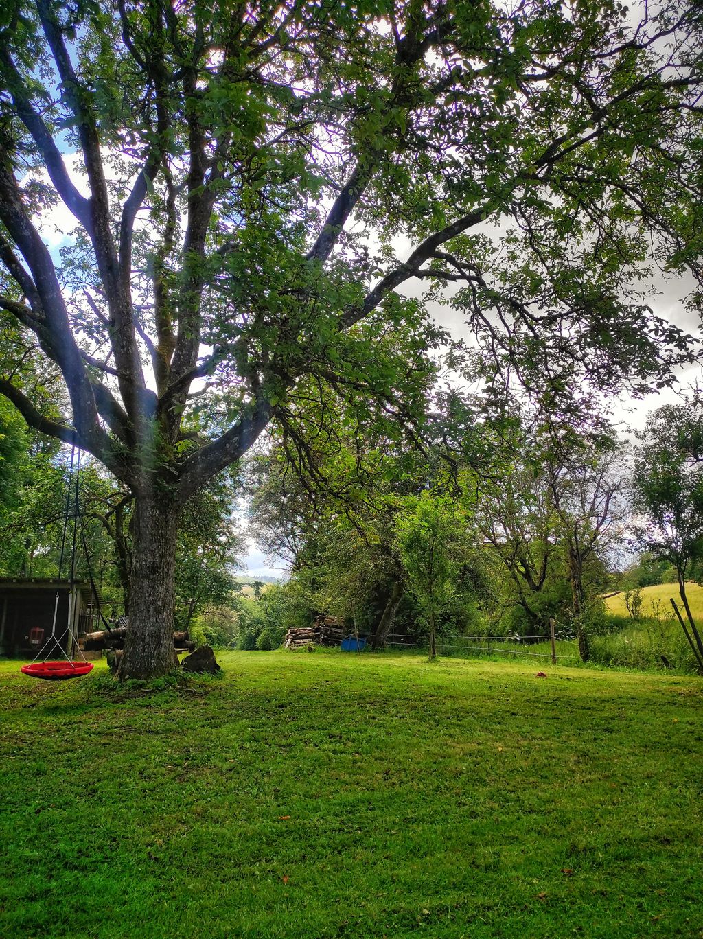A place in the green under a walnut tree