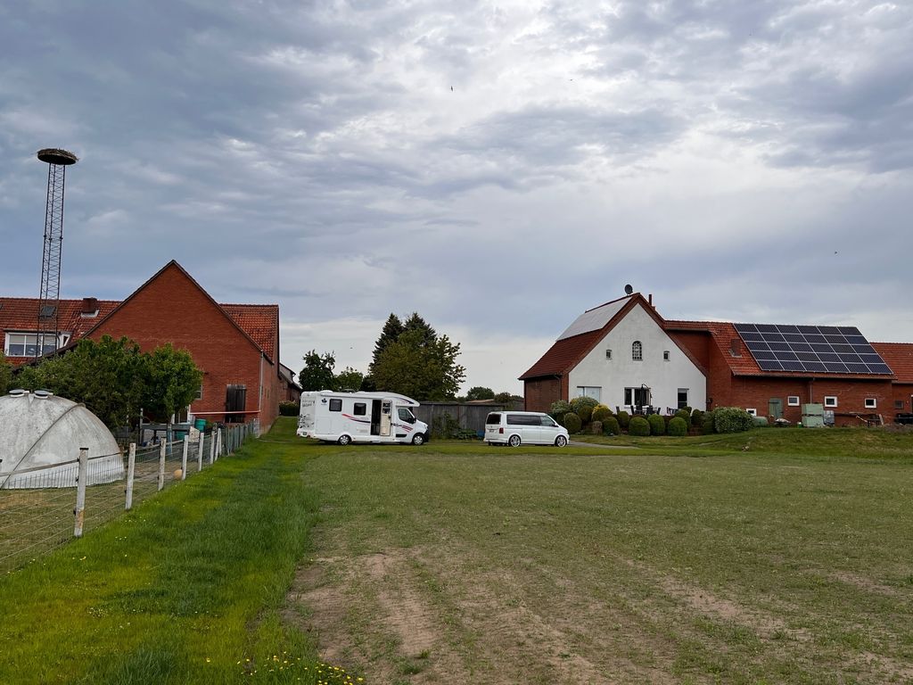 Emplacement âne du Poitou au bord de la Steinhuder-Meer