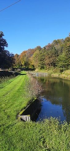 Emplacement près du ruisseau et du lac de baignade dans l'Odenwald 