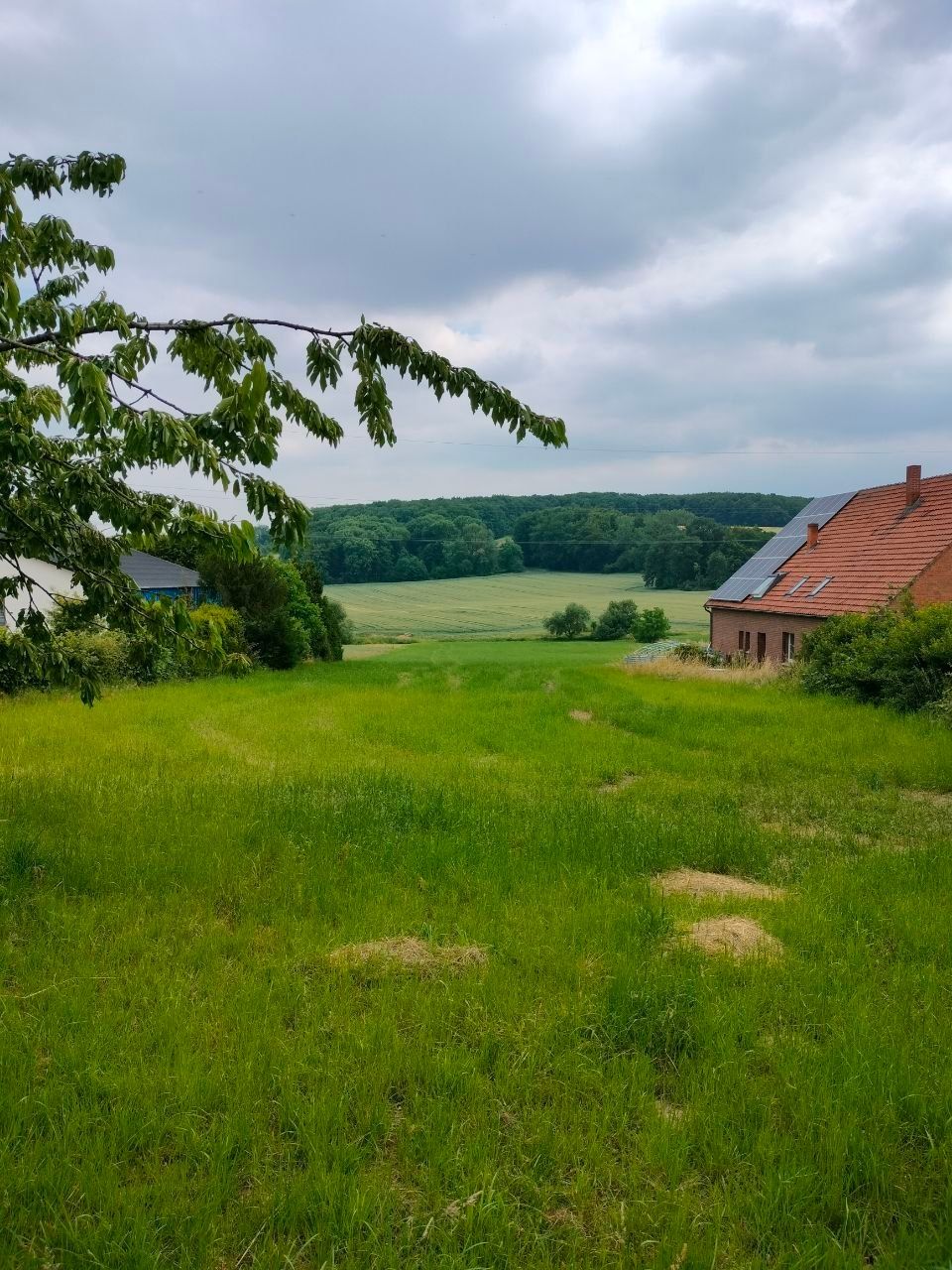 Schöner Wiesen-Stellplatz mit Blick ins Grüne  