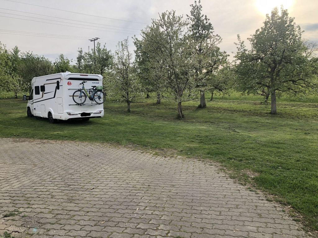 In the orchard next to the tasting room