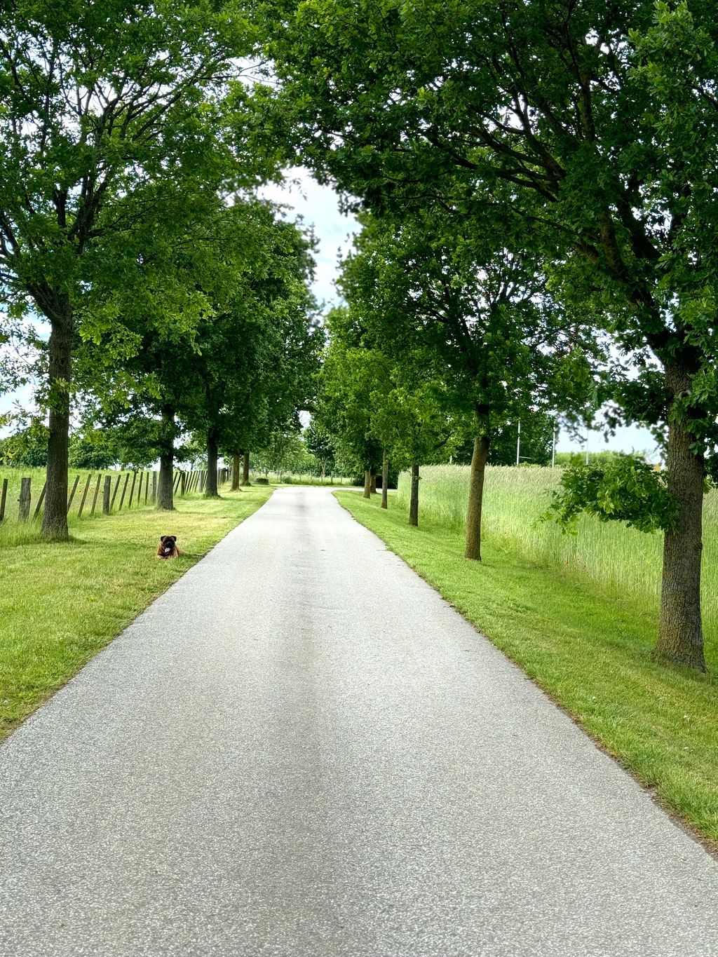 Camping auf dem Bauernhof in Stahlbrode