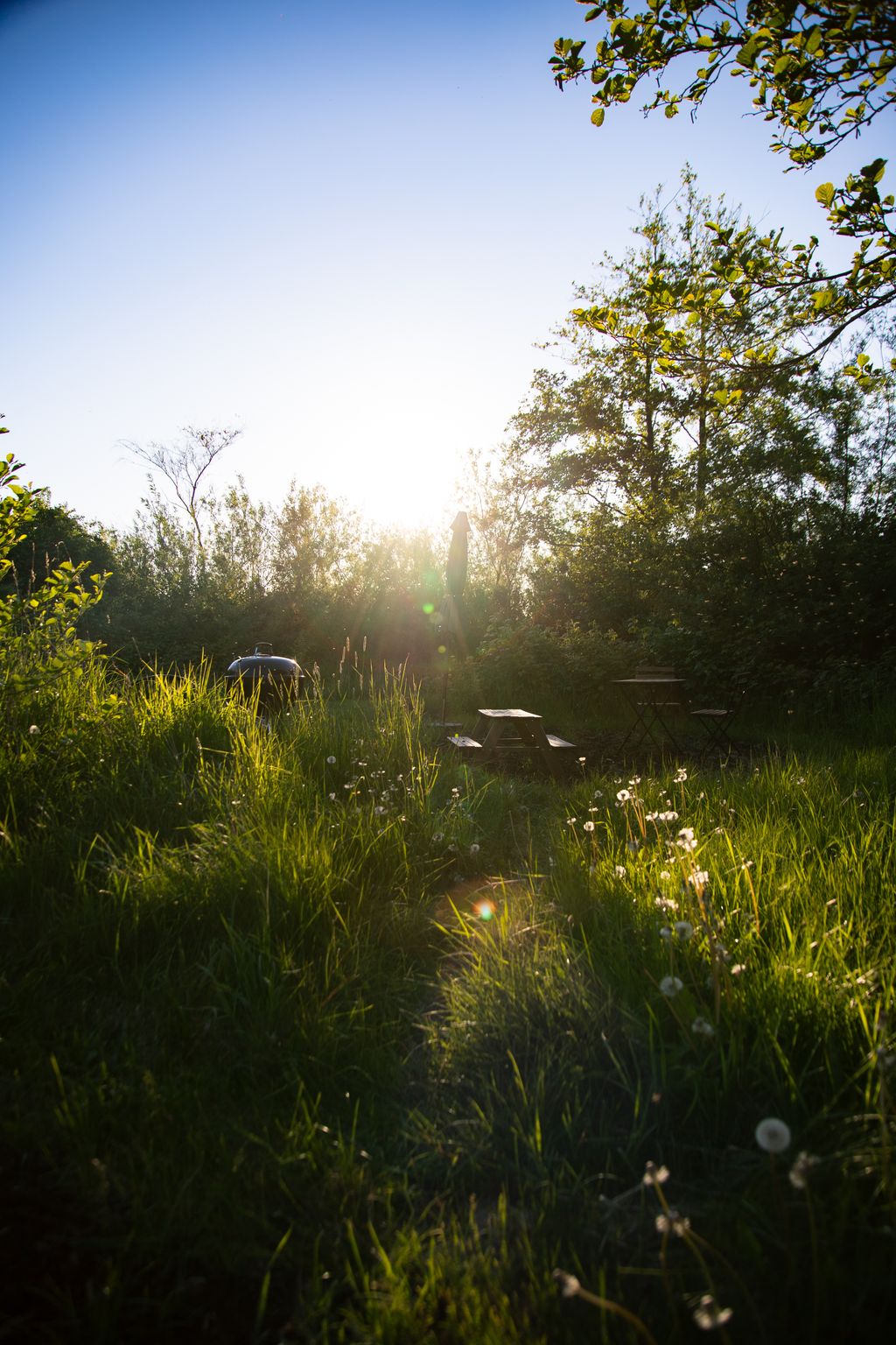 Alpaka Camping Fjord und Nordsee