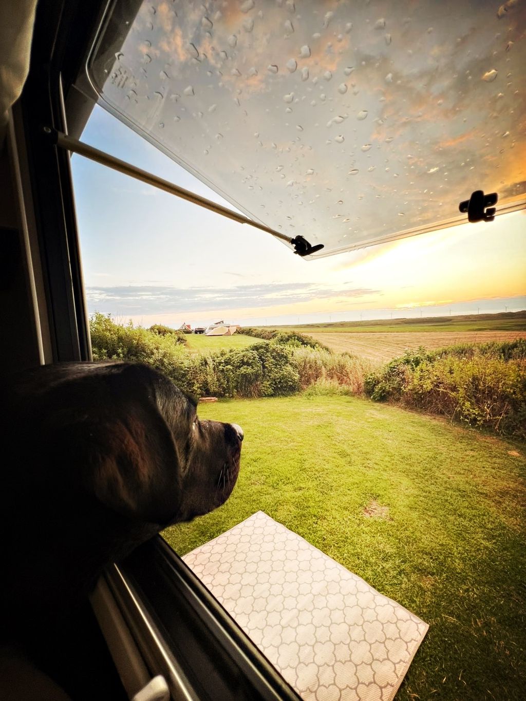 Campeggio naturale sulla costa occidentale e sulle scogliere della Danimarca