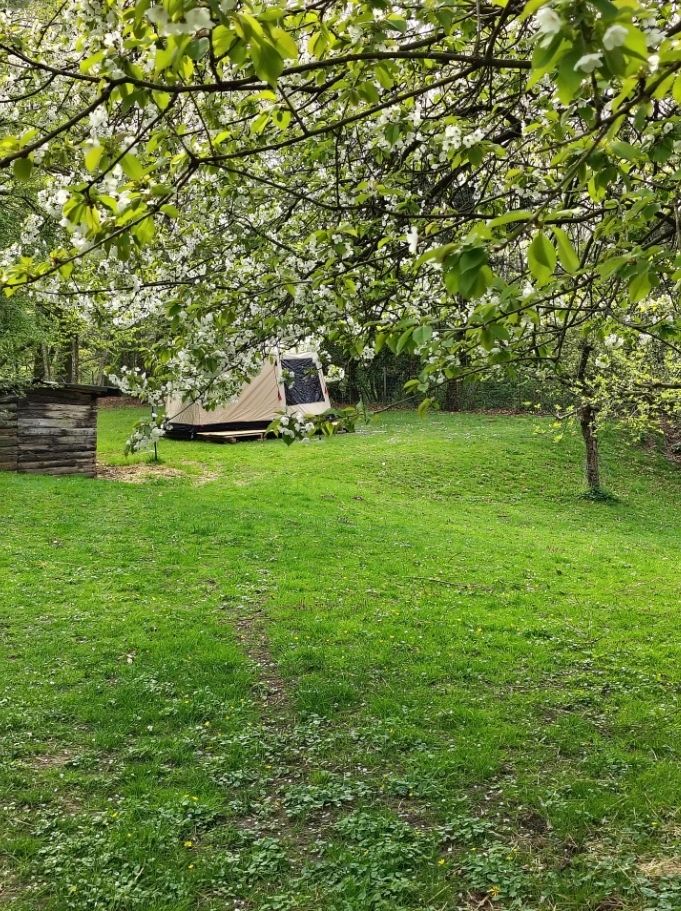 Glamping on the edge of the forest with comfort in Obernkirchen