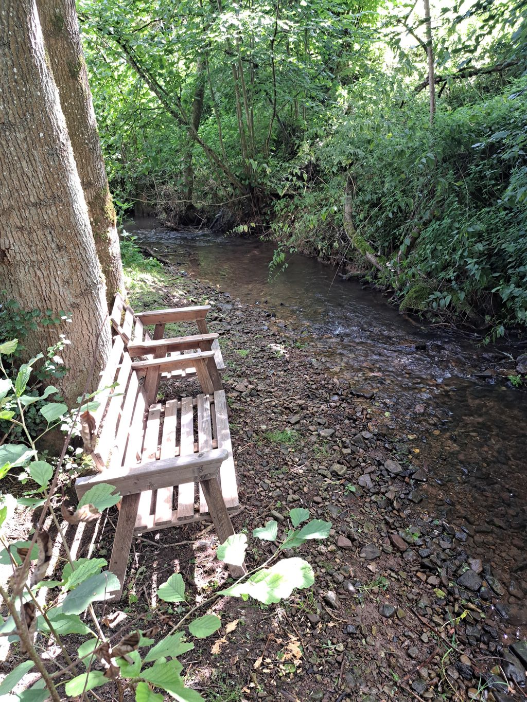 Terrain de camping avec un ruisseau dans l'Eifel