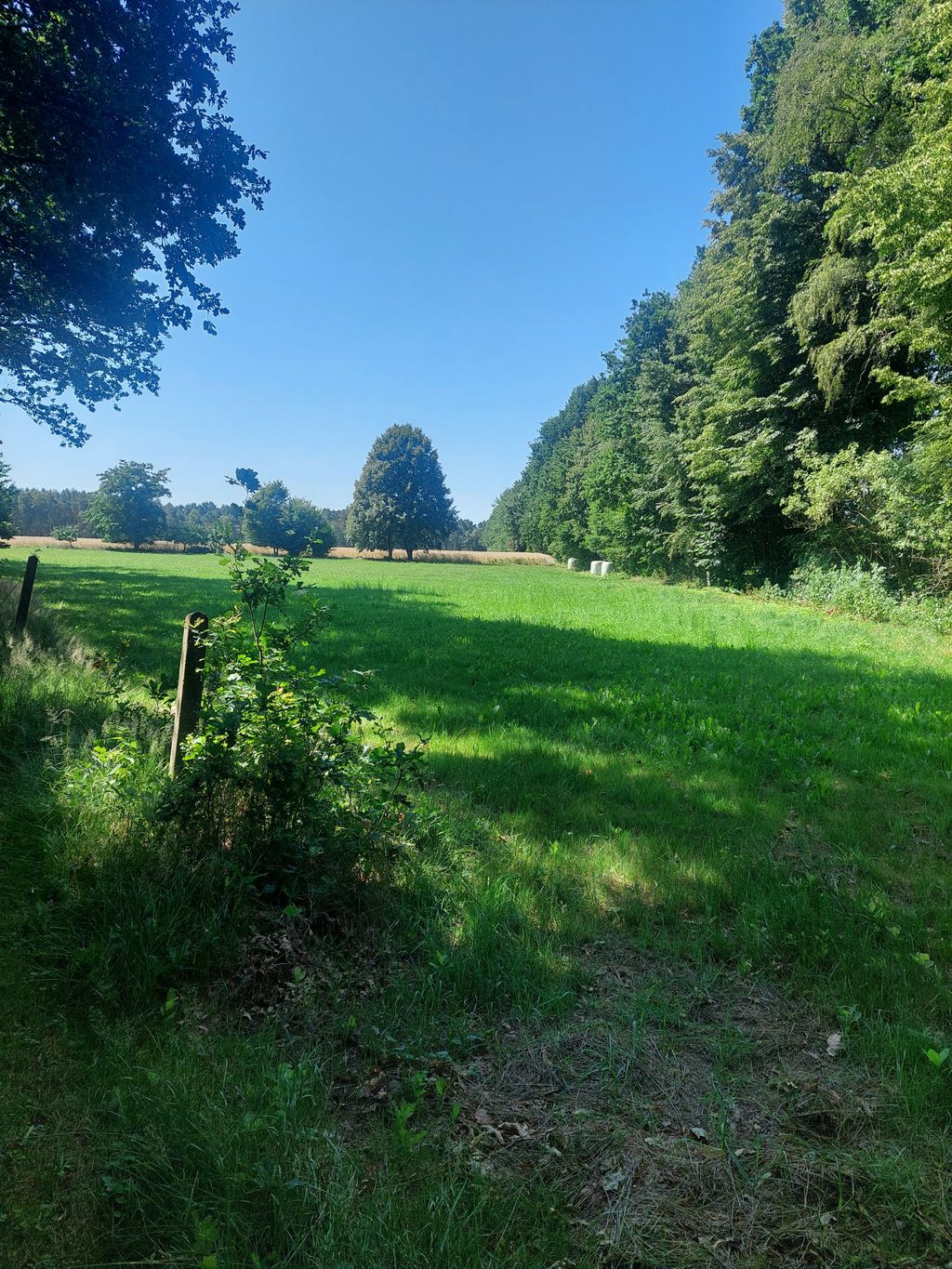 Aire de stationnement dans un pré près de la lande de Lunebourg