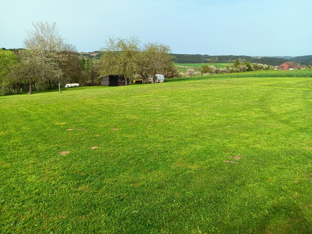 Quiet tree meadow campsite for campers