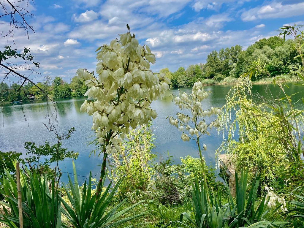 Paradies direkt am Privat See (Preis für 12 Pers.)