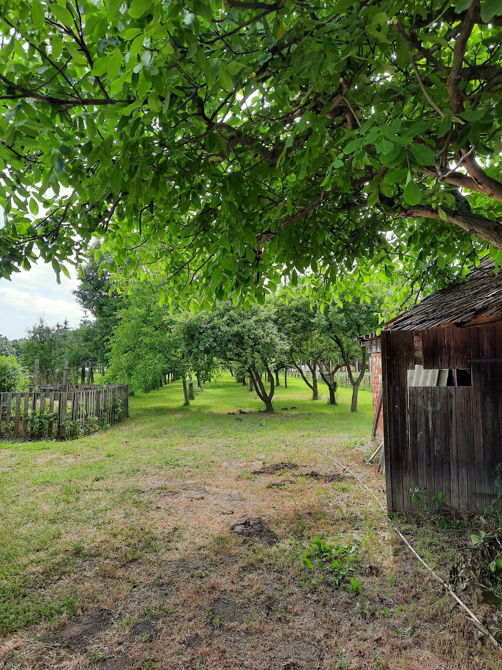 Time out in Hungary - idyll in the countryside