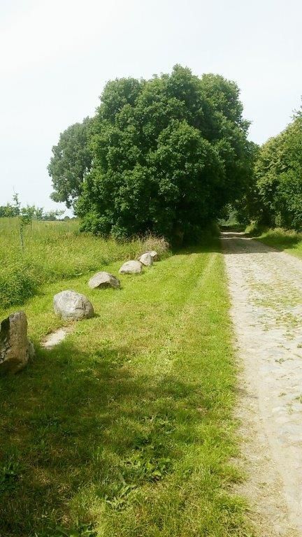 Erholung und Natur auf der Streuobstwiese 