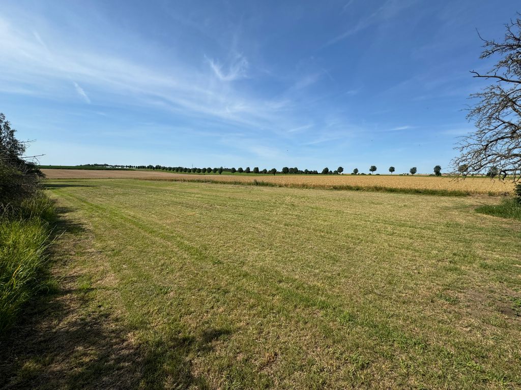 Emplacement de camping entouré de vastes champs