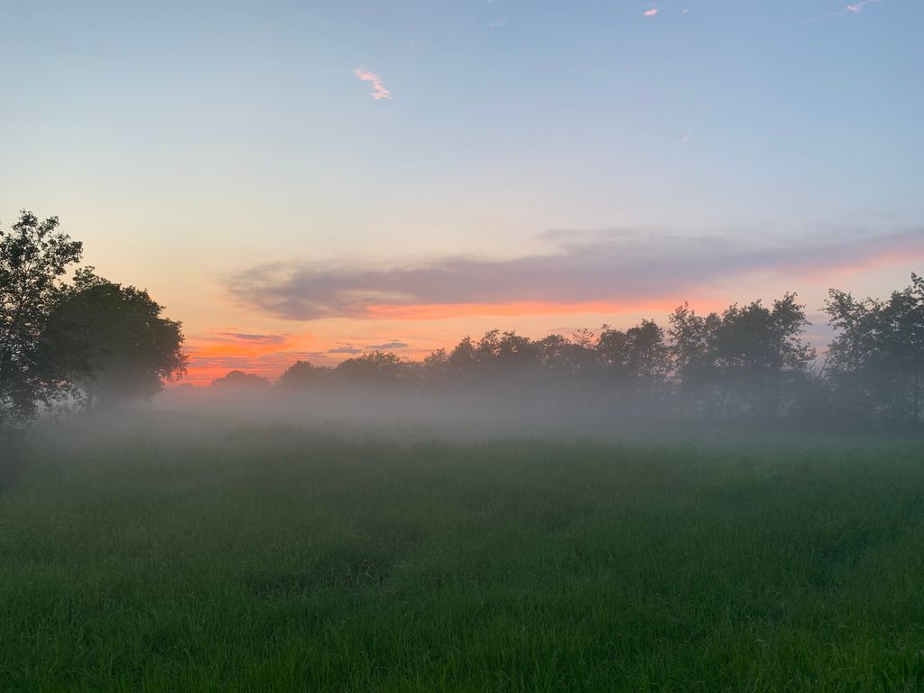 "The Silent Hall" in Friesland
