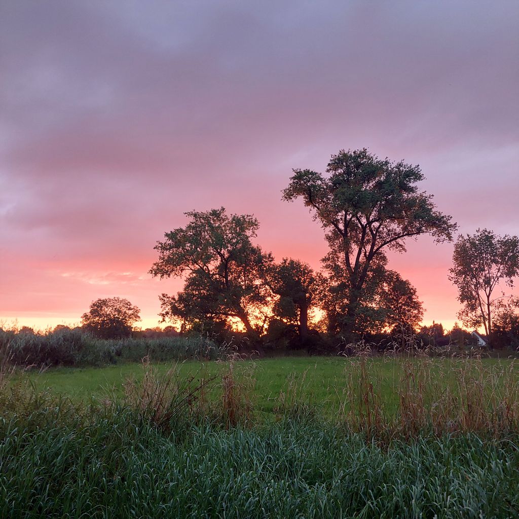 Quiet meadow by the river: Experience nature & wildlife