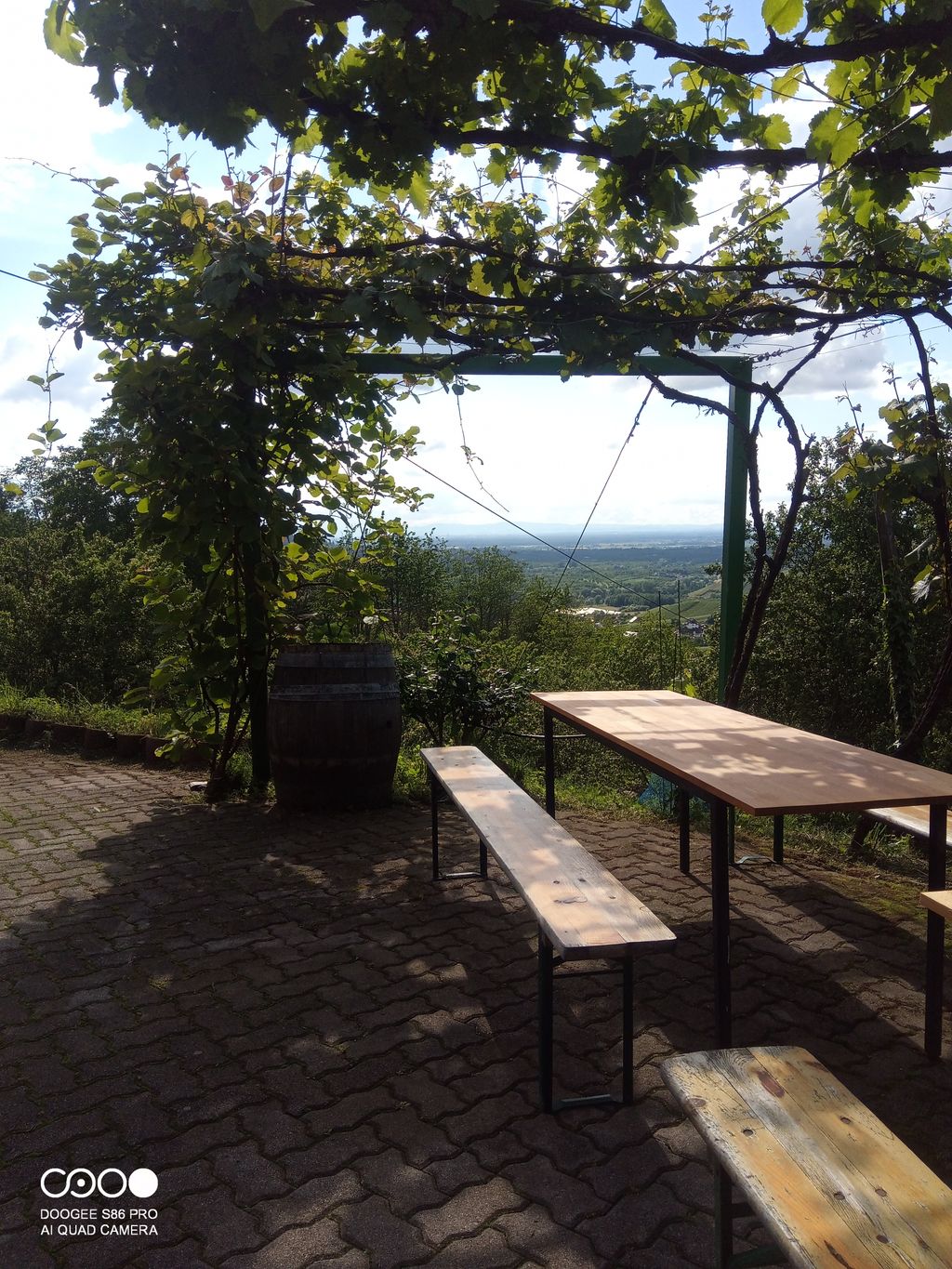 Badischer Winzer mit Blick nach Straßburg 