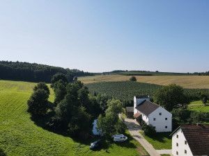 quiet pitch in the middle of the Hallertau region