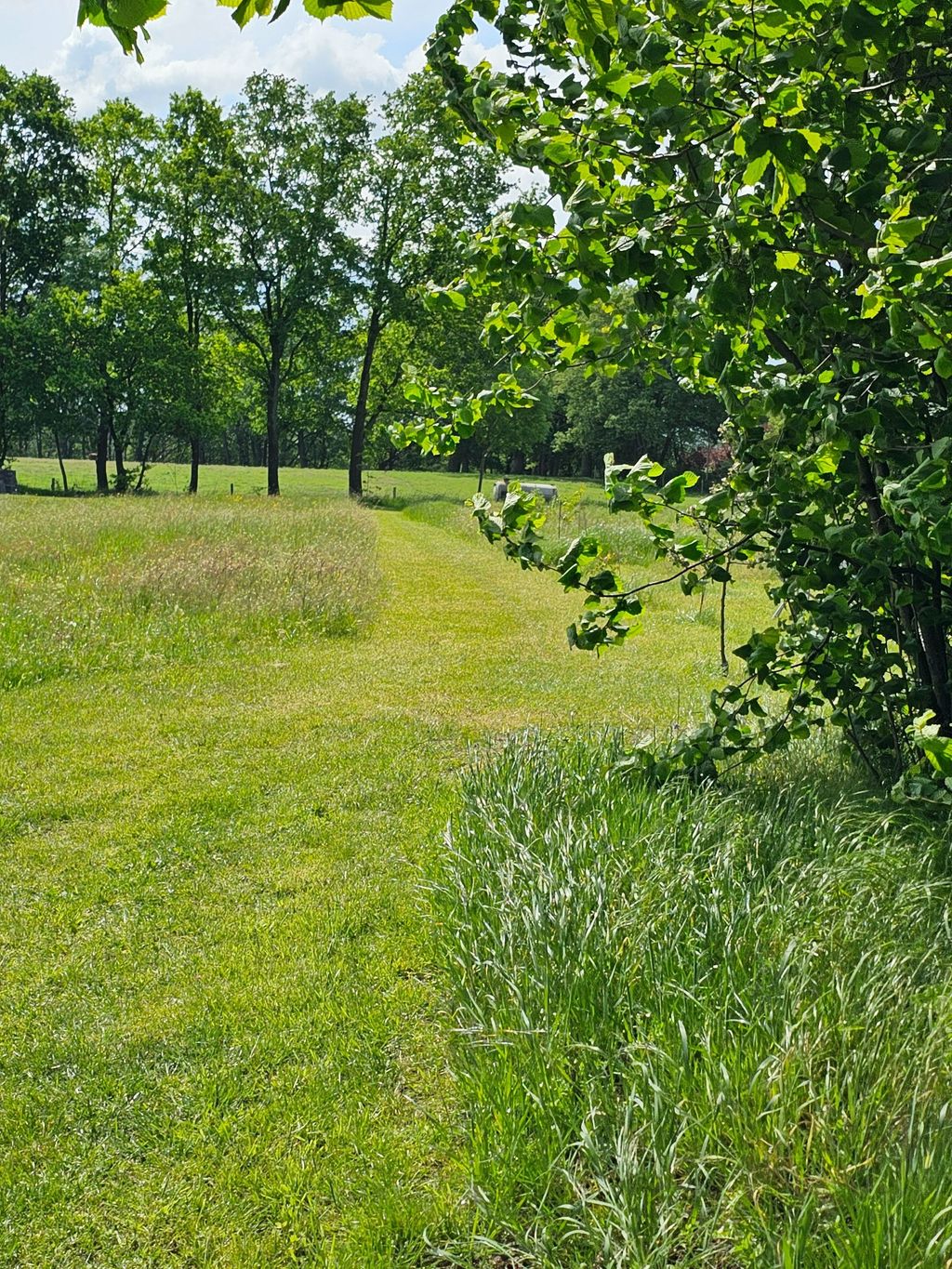 Rustikales Wiesencamping mit grüner Aussicht 