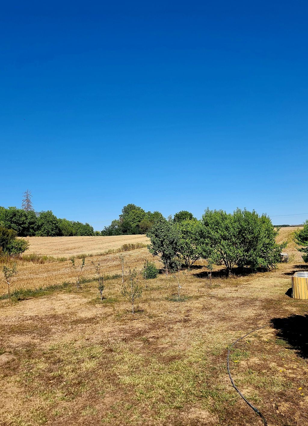 Stellplatz am kleinen Selbstversorgerhof 