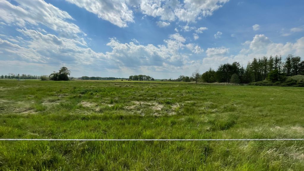 Campen in Potsdam - Naturnah am Jubelitzsee