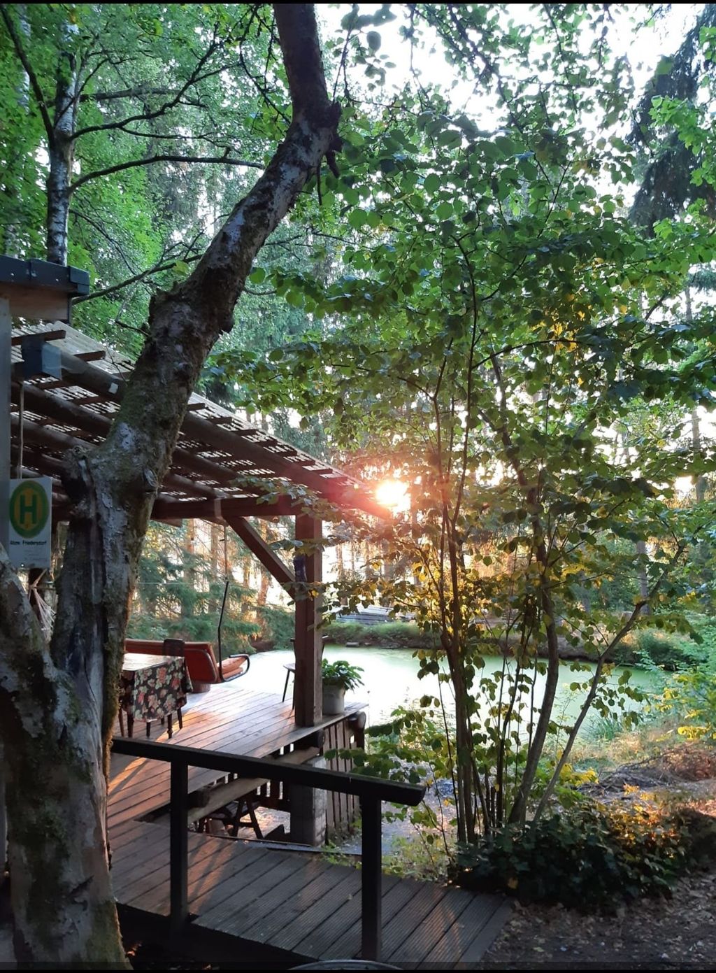 Cabaña en el bosque con un estanque  
