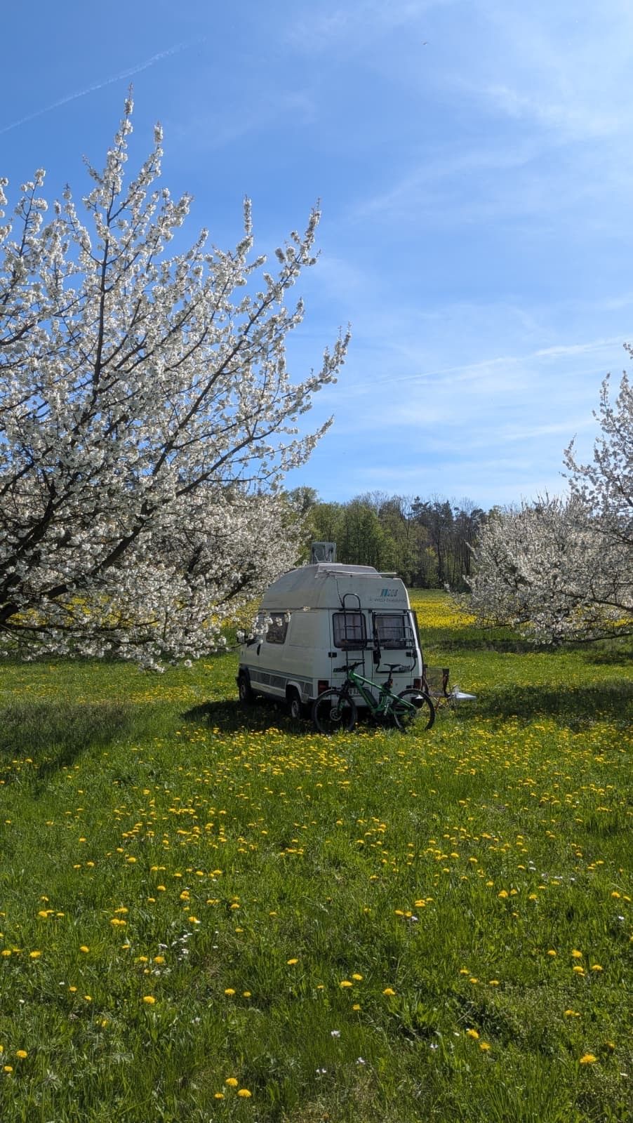 Posto auto nel Kirschgarten