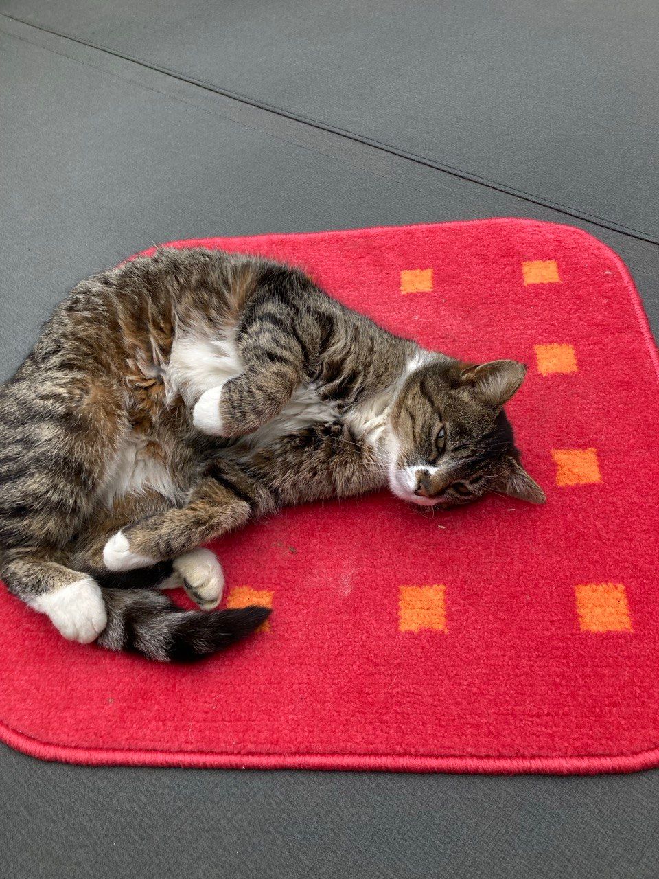 Rest farm in single location only 8 km to the Baltic Sea