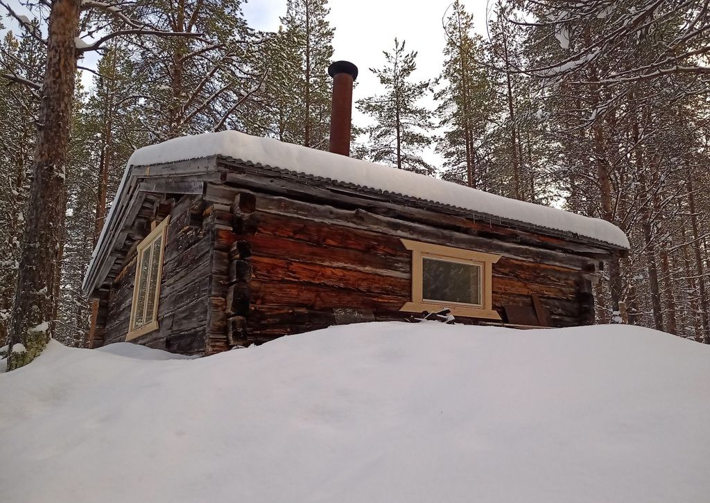 Blockhaus in absoluter Wildnis - "lonely lynx"