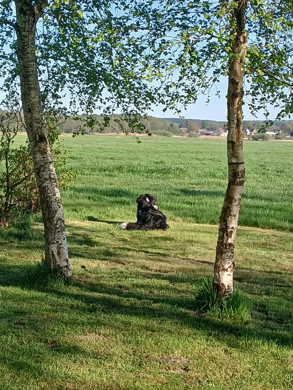 Idylle à la ferme près de Cuxhaven