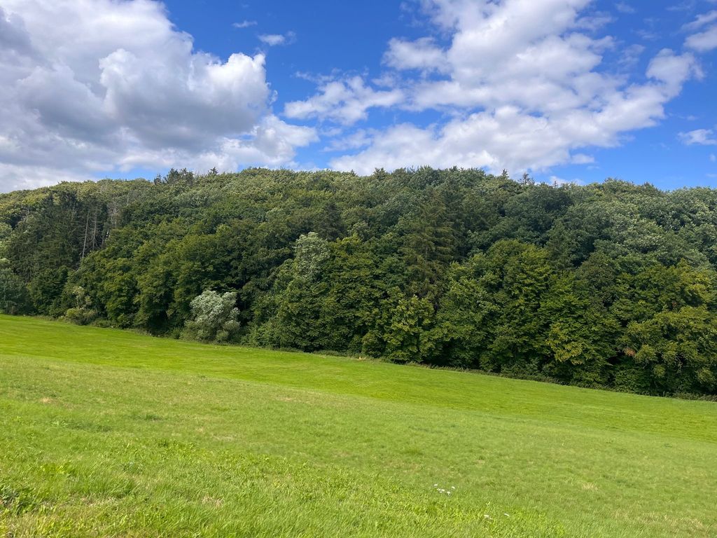 Campeggio naturale in una fattoria nell'Eifel vulcanico