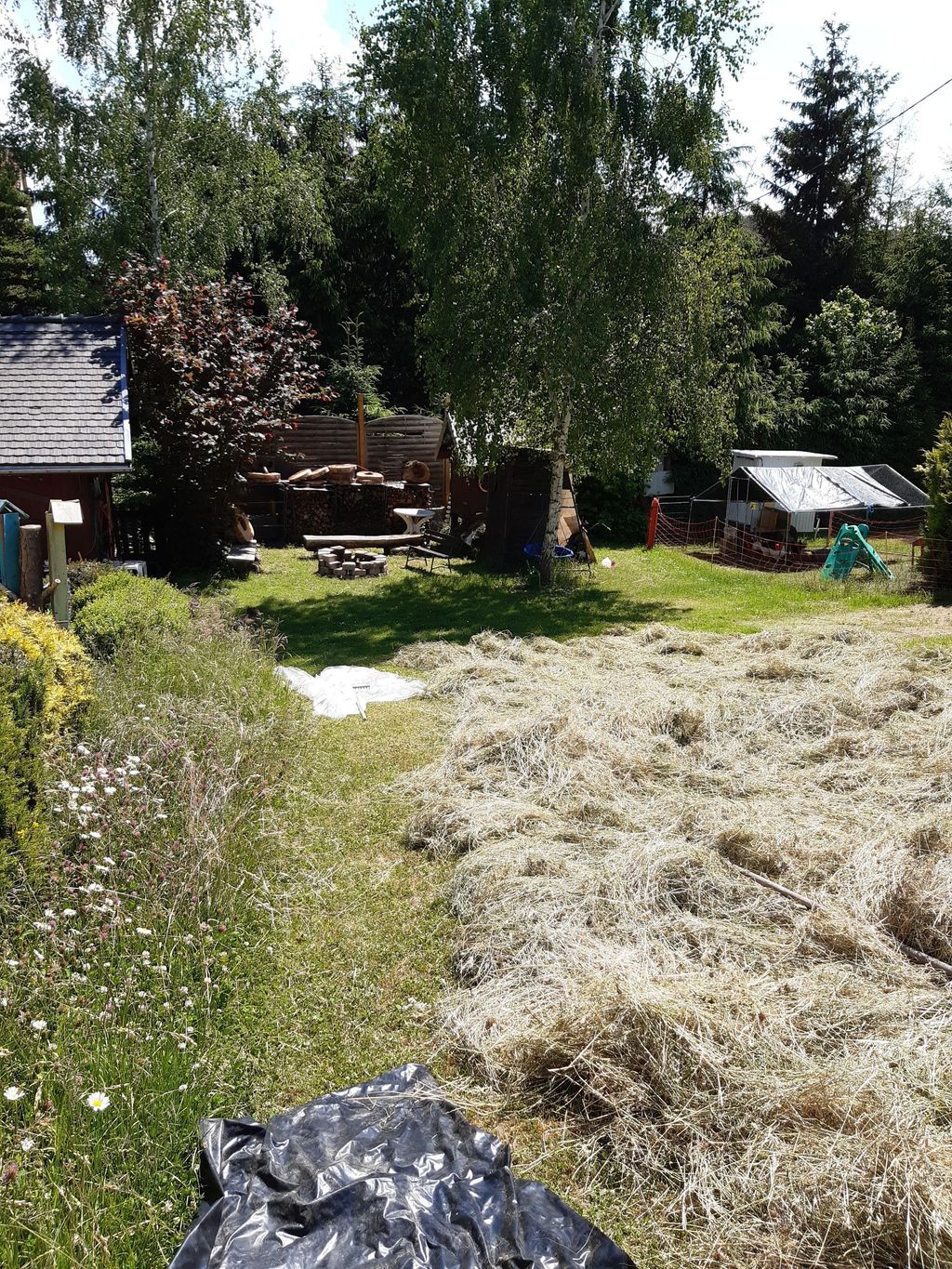 Garden idyll in the yard or meadow