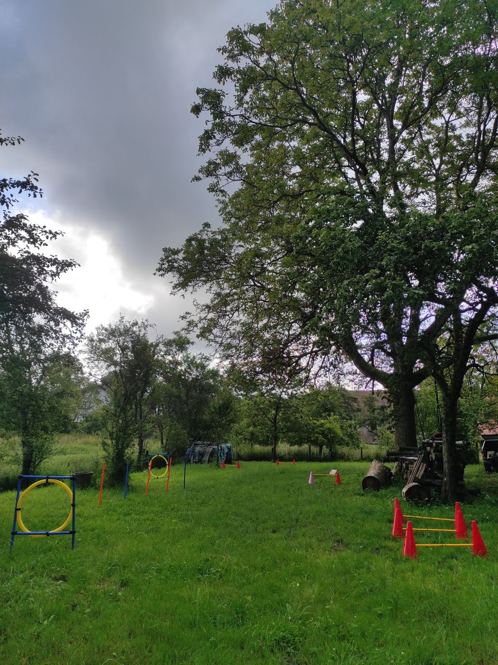 A place in the green under a walnut tree