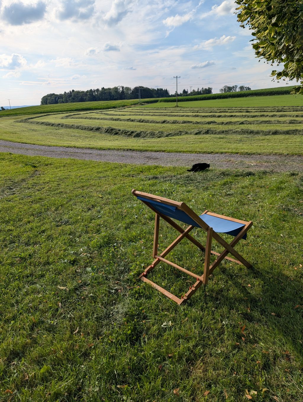 Grüne Auszeit fûr Dich und Deinen Camper!