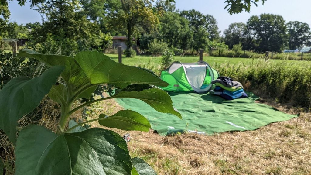 Atmosfera estiva - frutteto ai margini del parco delle stelle