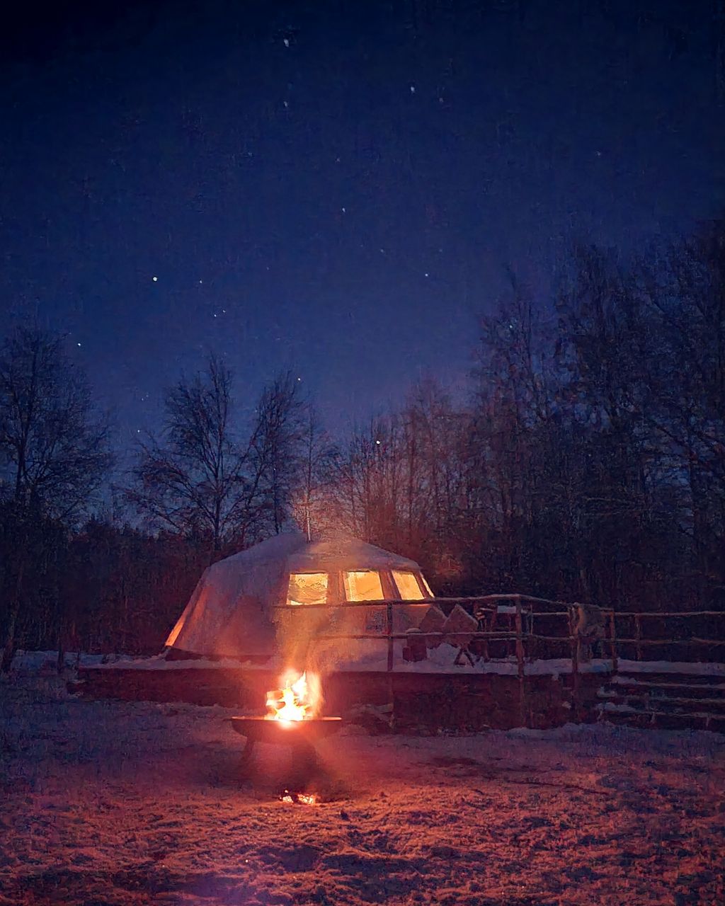 Parking space near deer, huskies, and eagles 